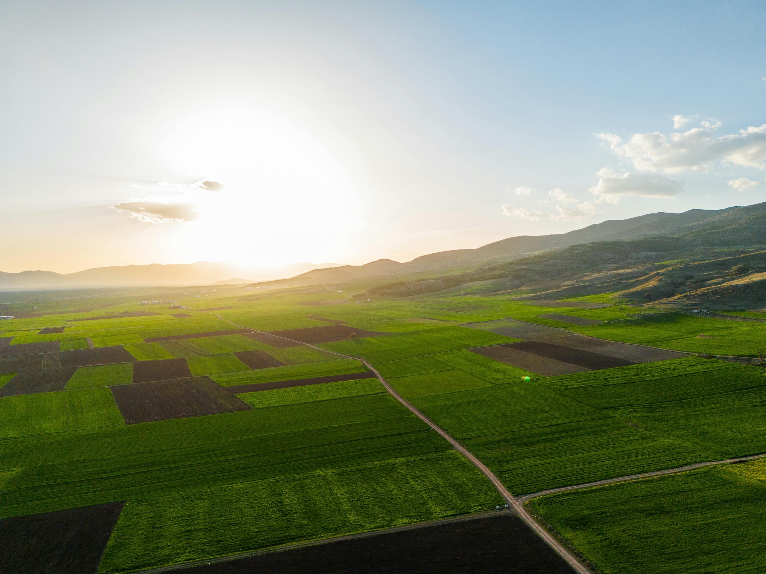 Insights & Connect with Desalus - Food & Water Security: Desalus makes clean water and pure fertilizer from its zero-waste water treatment services offered to brackish water stewards including mines, municipalities and more. With a heart to address water and food security in regions with water challenges, Desalus operates powerful resource recovery systems including IChemE Award-winning ZIX-Zak ion-exchange and KNeW Process for over 99% water recovery with no brine or waste.